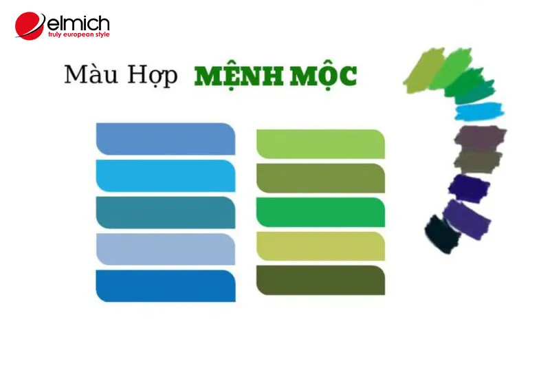 Màu sắc phù hợp tuổi Mậu Thìn