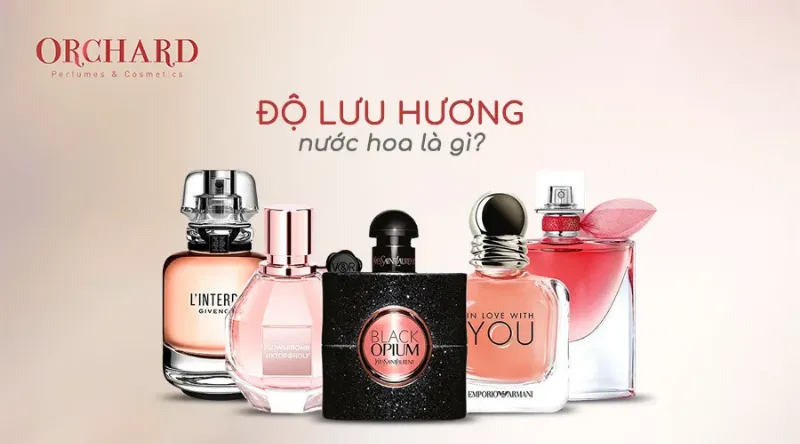 Bí quyết bảo quản nước hoa nữ cao cấp