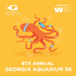 Giải chạy Georgia Aquarium 5K do Waste Management tài trợ