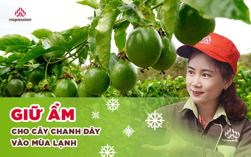 Thời tiết ảnh hưởng đến múa nón