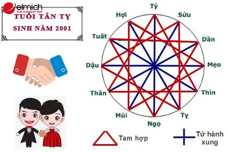 Tuổi Tân Tỵ Hợp Với Tuổi Nào?