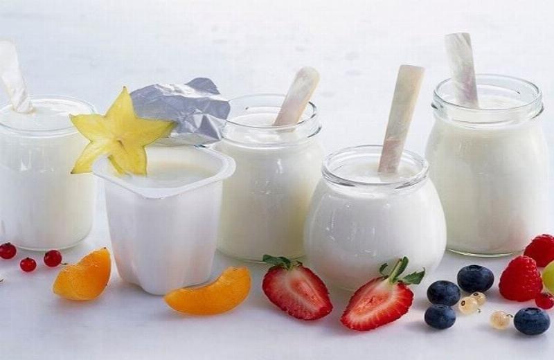 Sữa chua tăng cường miễn dịch, bảo vệ sức khỏe