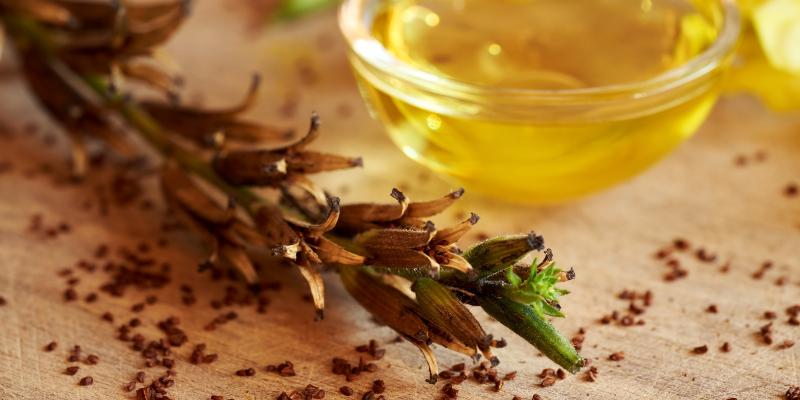 Công dụng nổi bật của viên uống hoa anh thảo