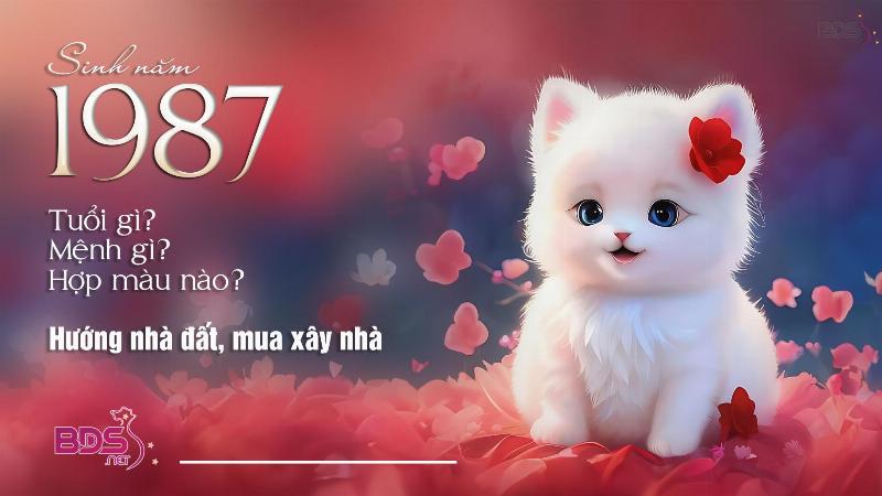 Tính cách người tuổi Đinh Mão