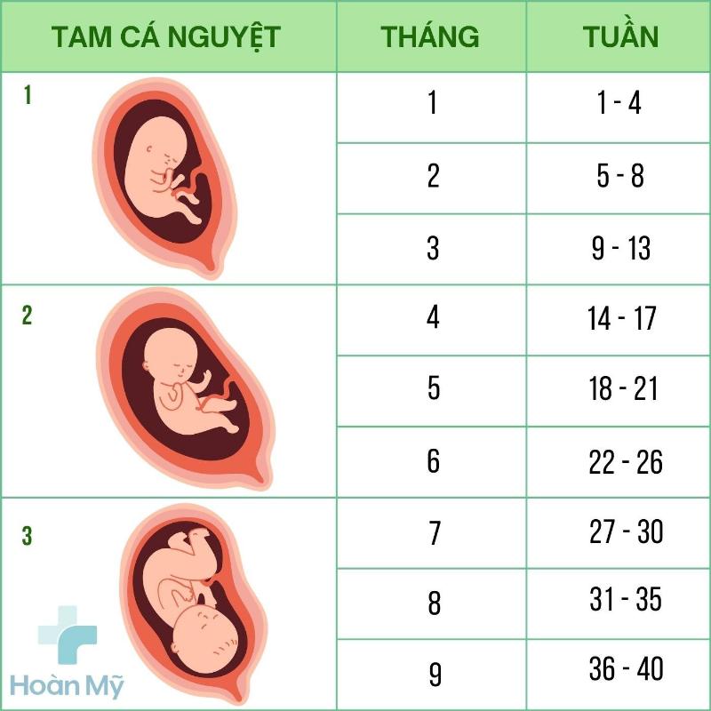 Cách tính tuổi đơn giản