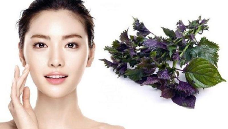 Nước rửa mặt từ lá tía tô tươi mát