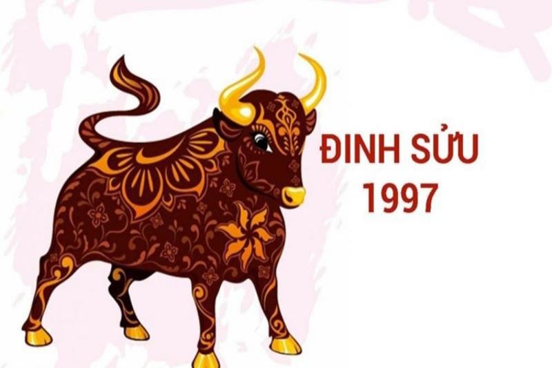 Cách ứng dụng màu sắc hợp tuổi Sửu 1997 trong năm 2024 để tăng cường vận khí tốt